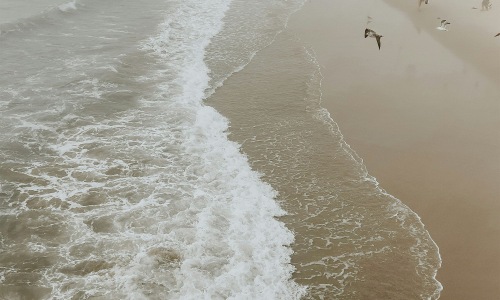 St. Petersburg Beach Cover Image