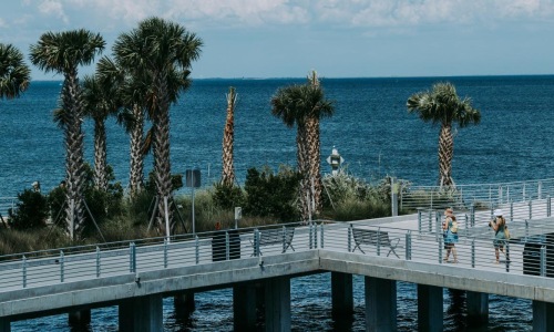 a bridge over water with palm trees and a boat in the background