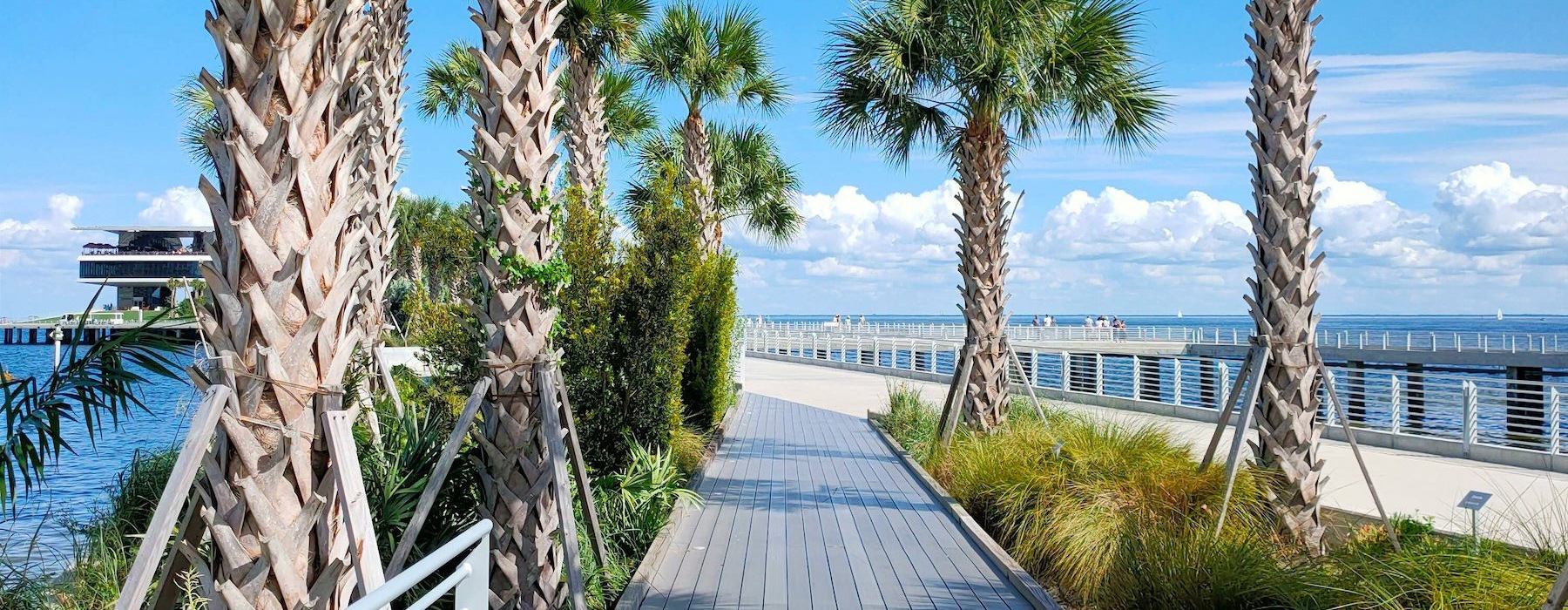 a wooden walkway with palm trees and a body of water in the background