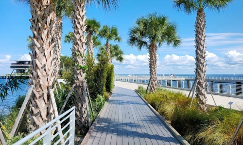 a wooden walkway with palm trees and a body of water in the background